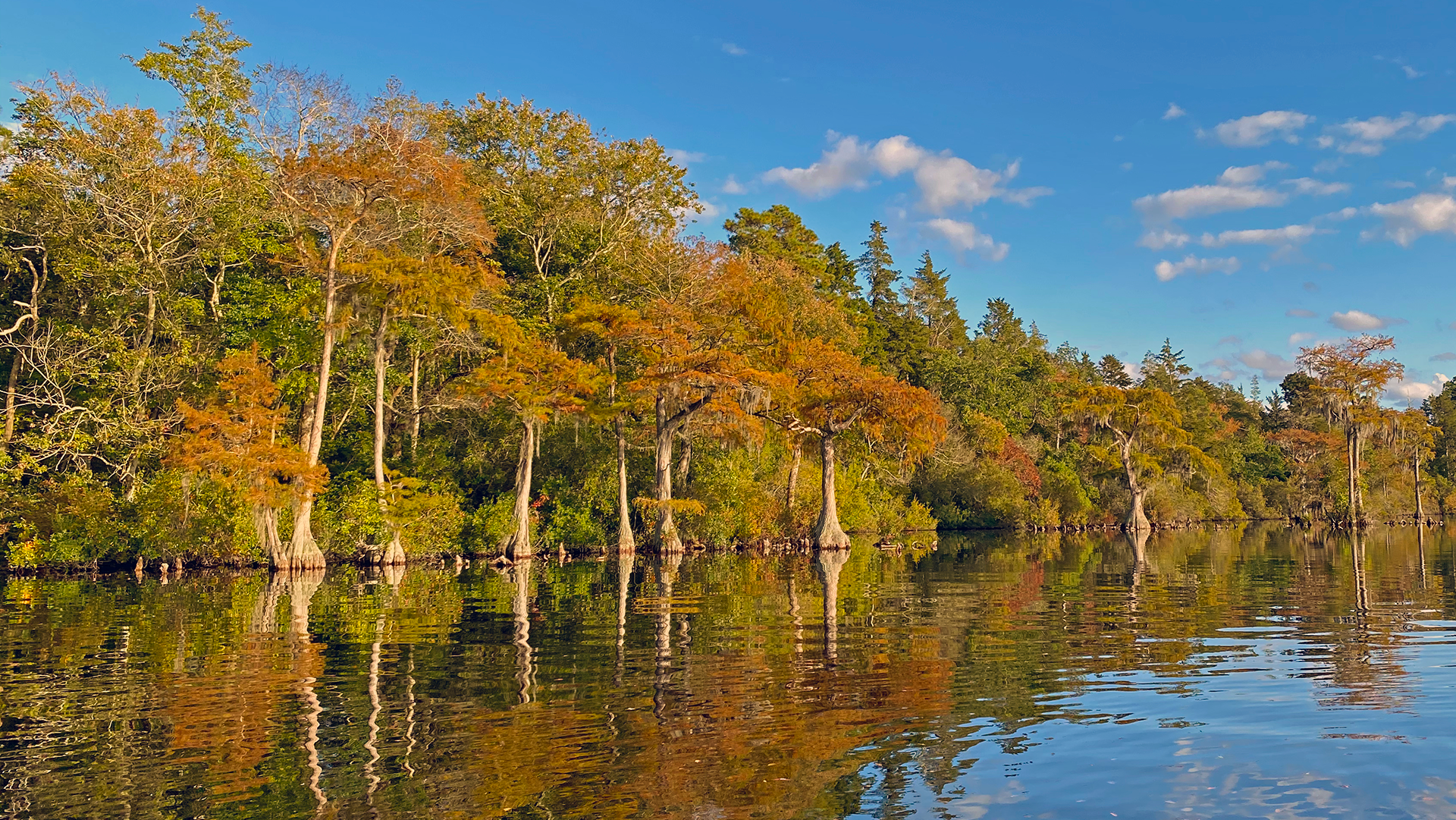 Jones Lake