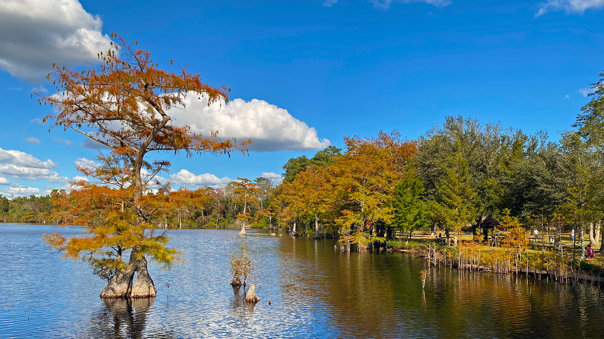 Carolina Bay Lakes