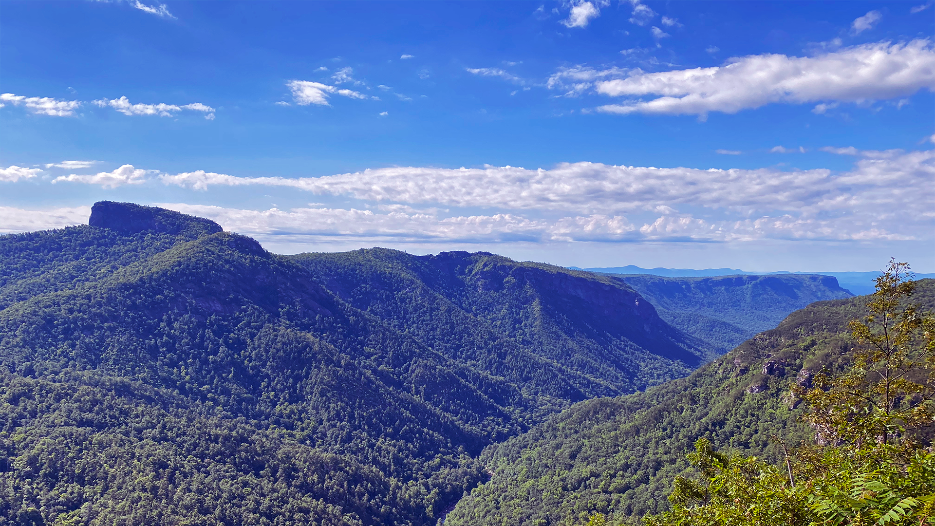 Linville Gorge Wilderness