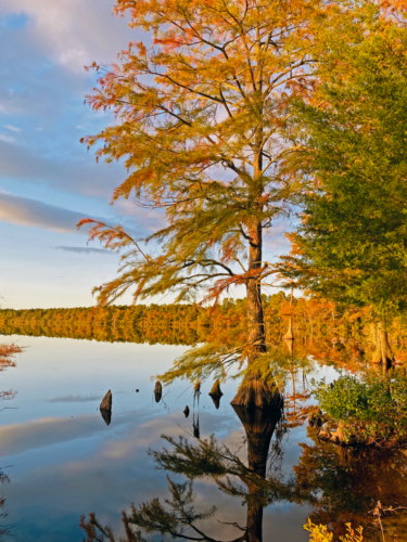 Jones Lake State Park