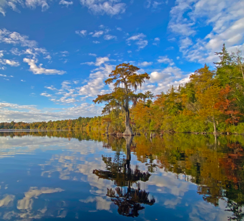 Jones Lake State Park