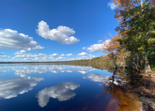 Jones Lake State Park