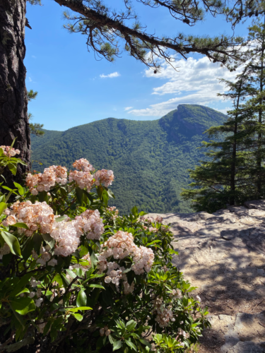 Linville Gorge Wilderness