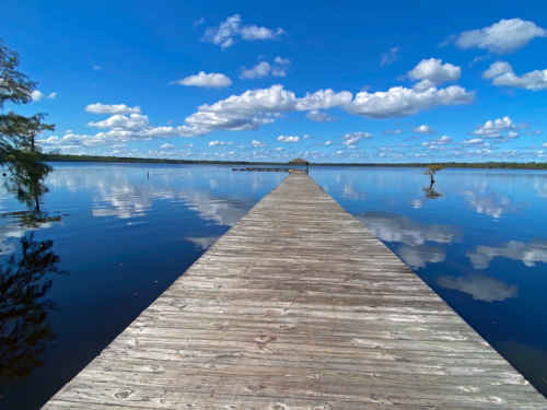 Singletary Lake State Park