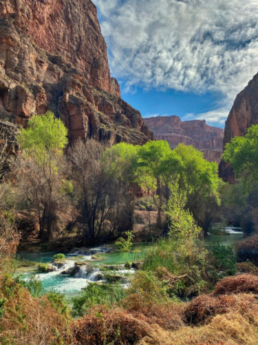 Canyon and Havasu Creek along the Beaver Falls trail