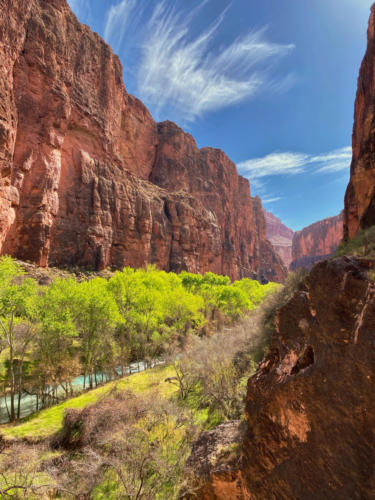 Canyon and Havasu Creek along the Beaver Falls trail