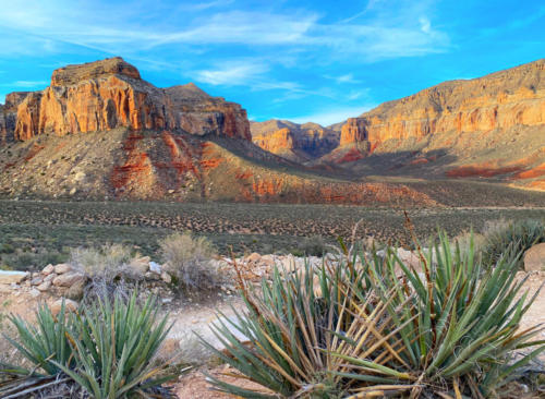 Havasu Falls trail